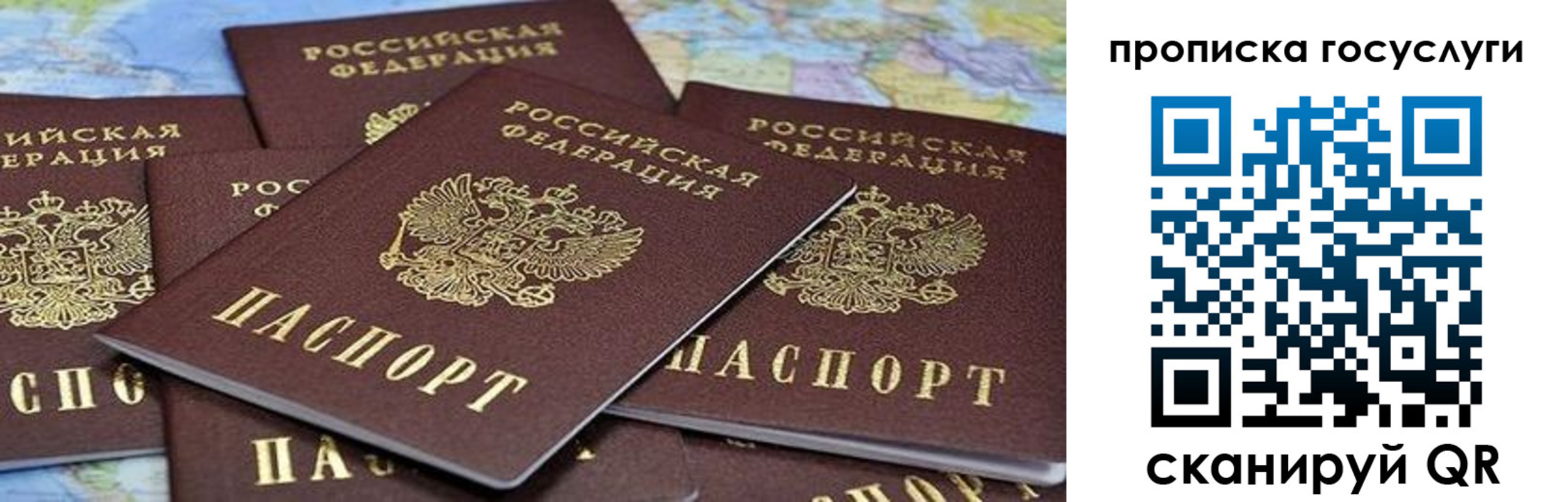 временная регистрация адрес в Щиграх